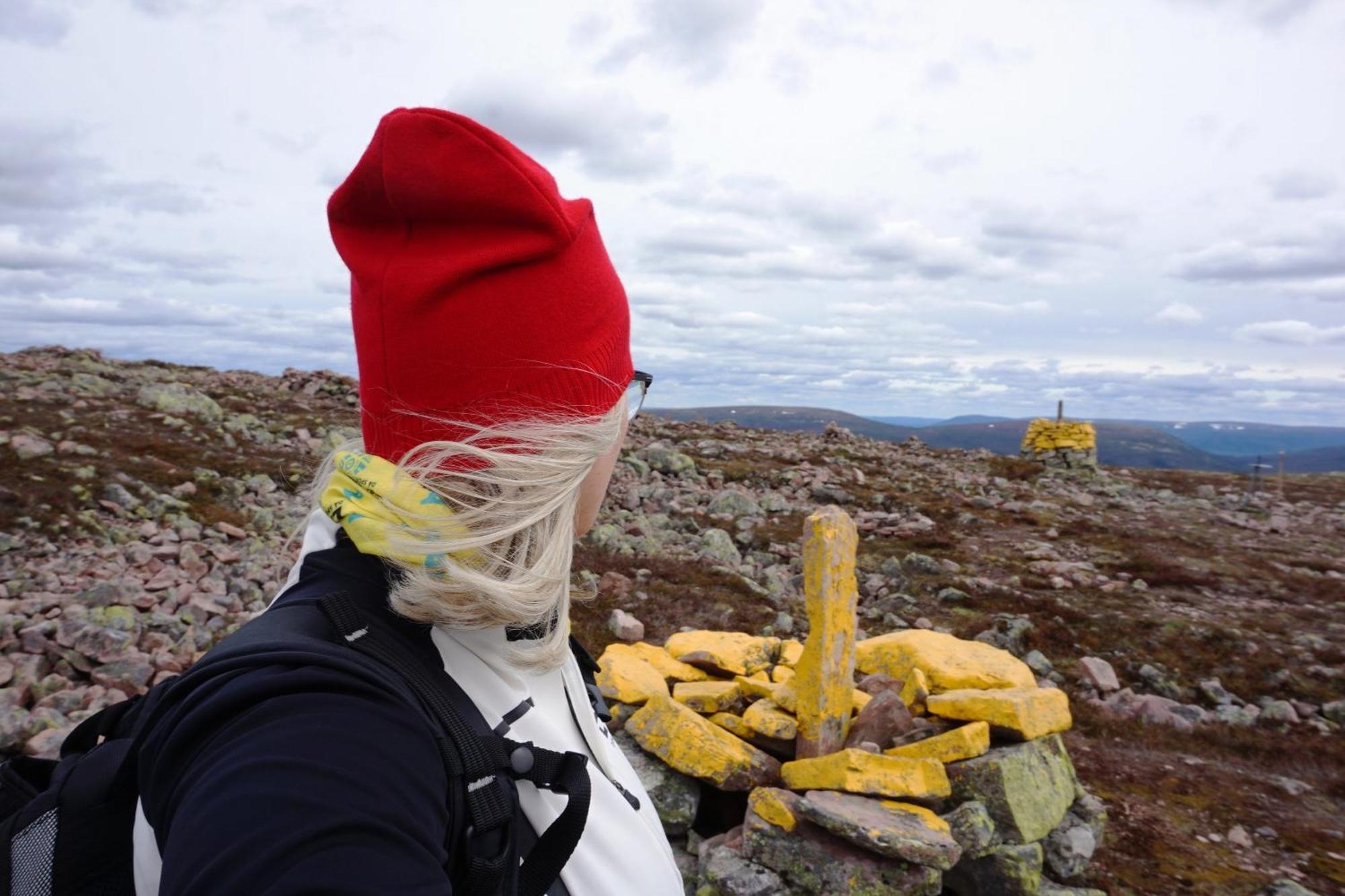 12 - Fulufjellets Nasjonalparker - Natur-, Dyre- Og Fugleopplevelser Ljørdal Exterior foto
